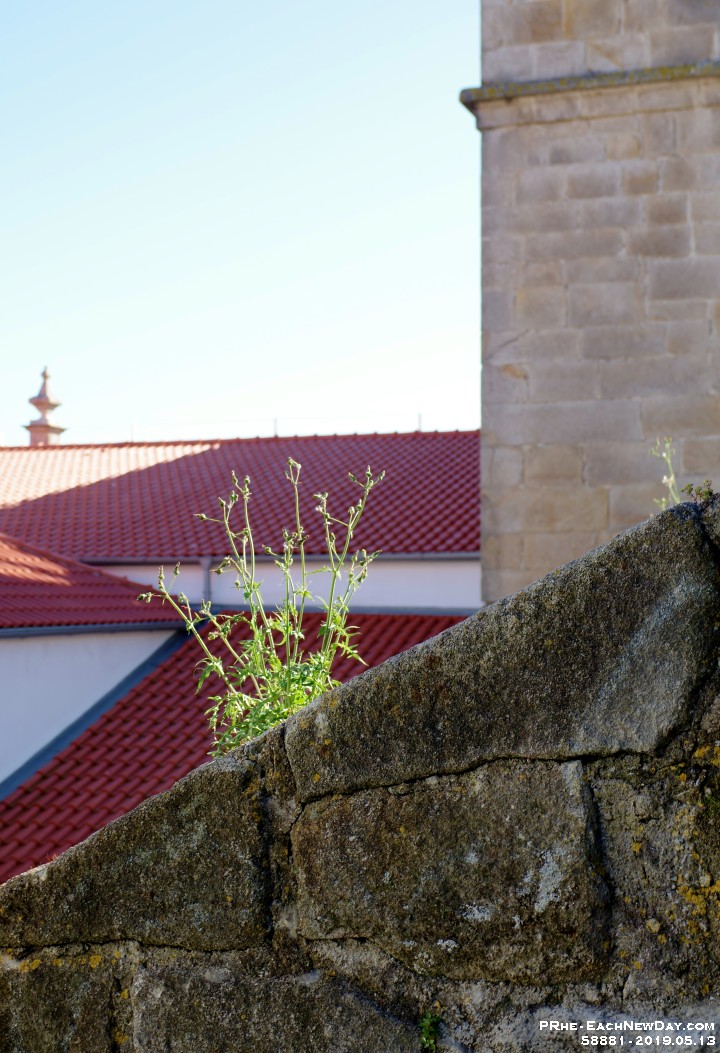 58881CrLe - Walking to the Douro River - Porto, Portugal